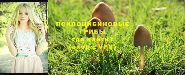 марки lsd Рославль