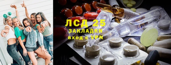 PSILOCYBIN Абдулино