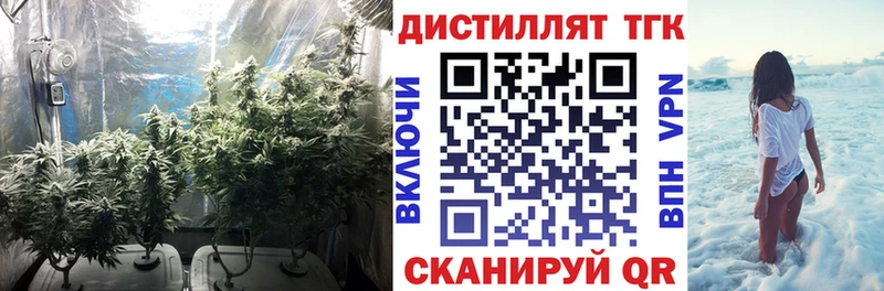 это Telegram  Александровск-Сахалинский  Дистиллят ТГК концентрат 